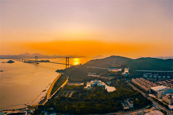 東莞供應(yīng)鏈咨詢公司如何優(yōu)化企業(yè)供應(yīng)鏈流程？