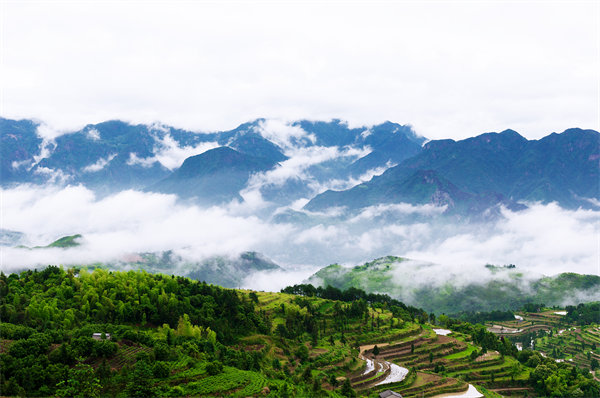 溫州供應(yīng)鏈咨詢公司如何優(yōu)化企業(yè)供應(yīng)鏈流程？